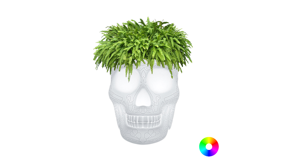 QEEBOOMEXICO PLANTER AND CHAMPAGNE COOLER RECHARGEABLE LAMP香槟冷却器