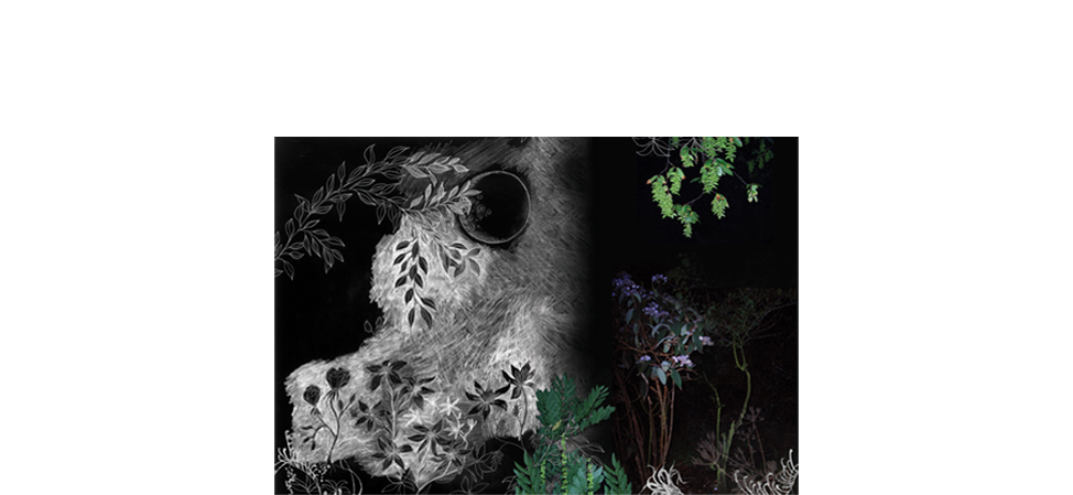 MOROSOTapestry 墙饰-挂毯