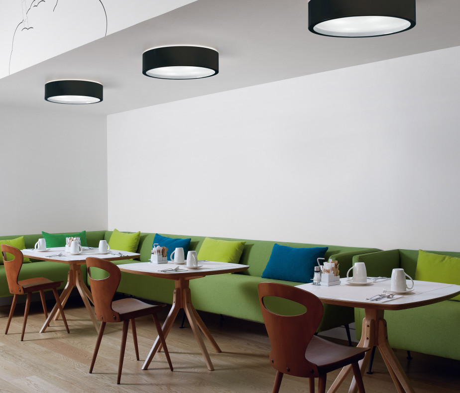 ceiling-Elea PF 55吸顶灯