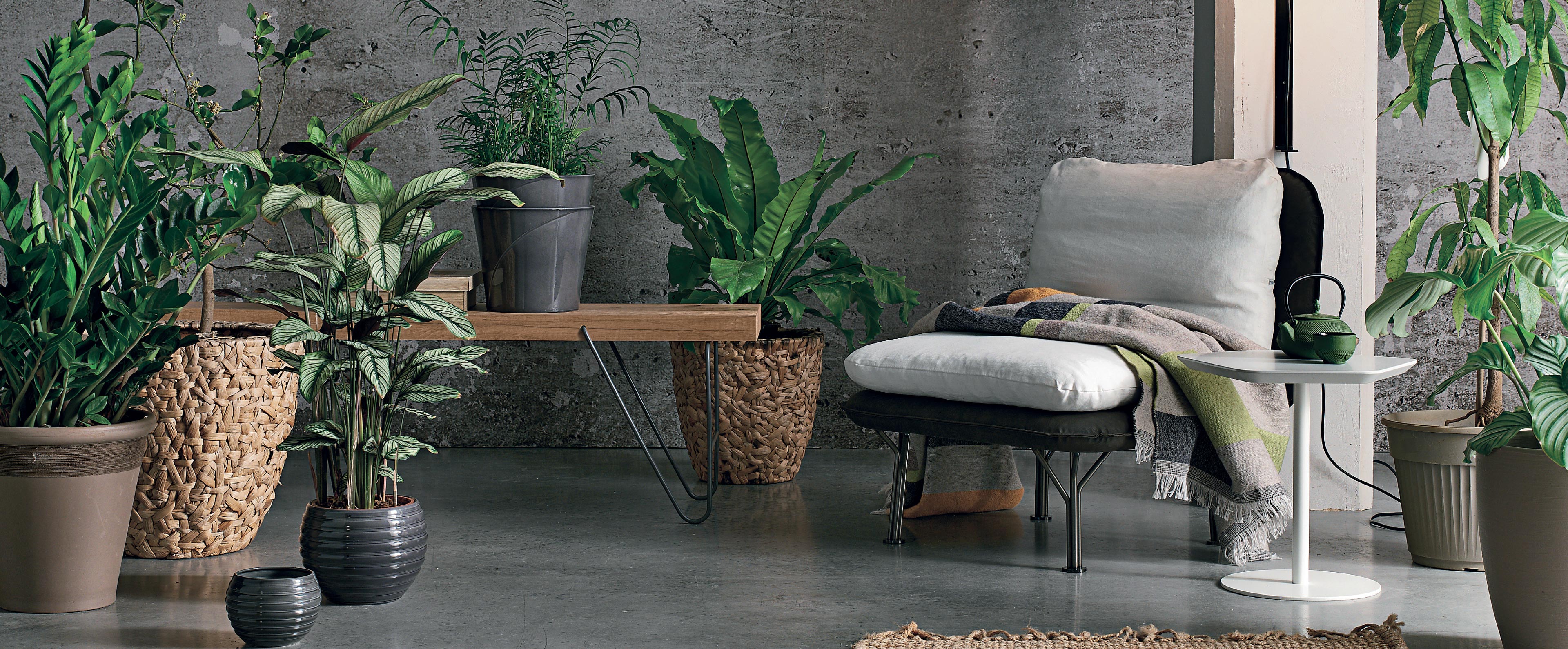 Gruppo TomasellaMAYA OCCASIONAL CHAIR休闲椅