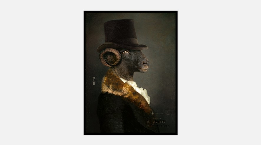 IbrideCollector portrait Maupin 画