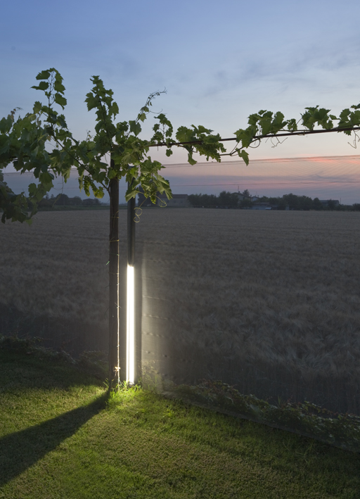 viabizzunounaghi路灯