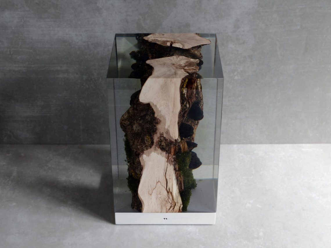 alcarolMOSS LAMP台灯